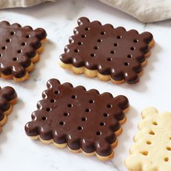 moule pour pâtisseries maison sucrées ou salées