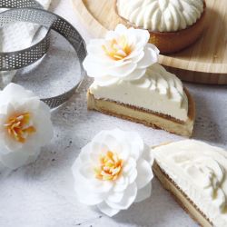 ensemble de camélias pour décoration desserts sucrés