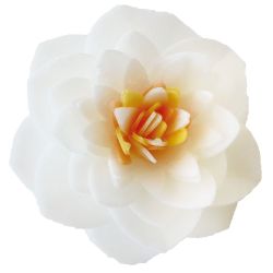 4 fleurs camélias légères pour gâteaux