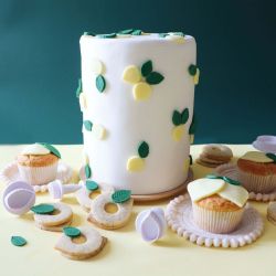 Moule à gâteau aluminium haut - Ø18cm