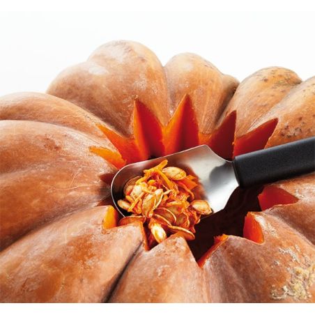 Aiguille De Crabe De Homard En Acier Inoxydable, Multifonction