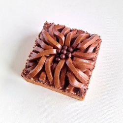 Entremets avec le cercle carré en inox, 4,5 d'hauteur