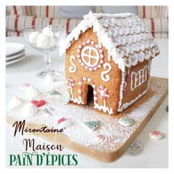 Kit maison pain d´épices de Noël : ingrédients et ustensiles pour réaliser  une maison de pain d´épices 13 x 15 x 20 cm - Patisdecor