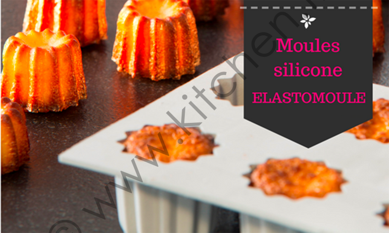 moule-silicone-elastomoule