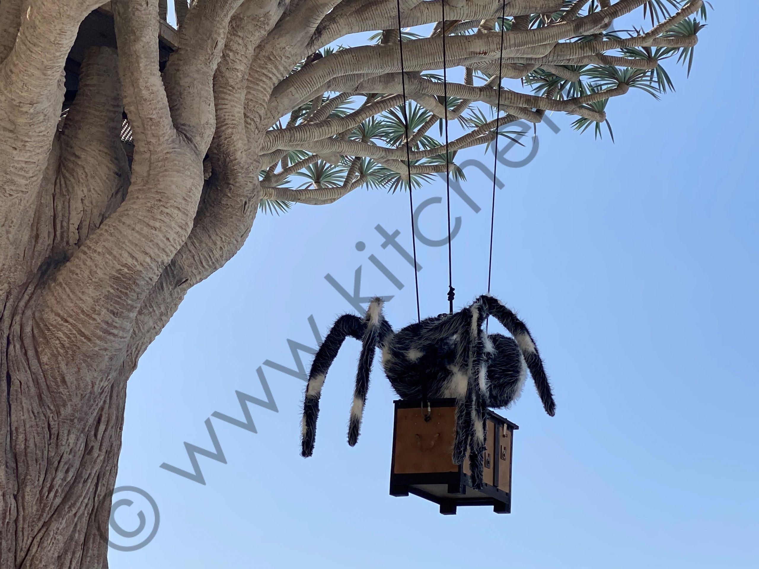 Araignée Halloween